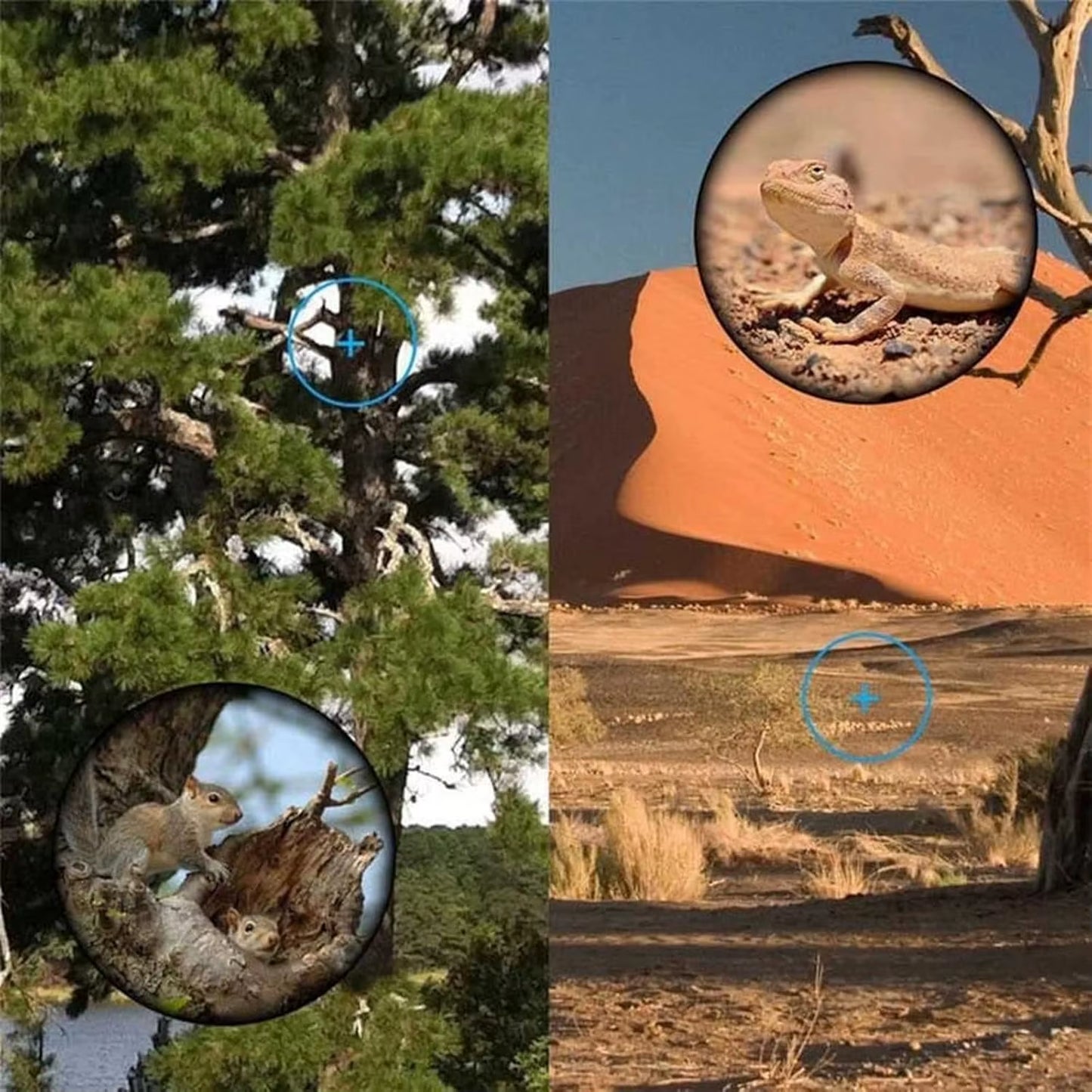 Monocular 80X100 Portable Zoom HD Telescope Long Distance Mini Powerful Telescope for Hunting Sports Outdoor Camping Travel